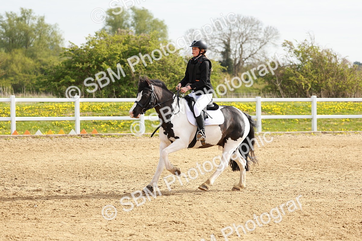 SBM_003300 - Class 2 - 50cm