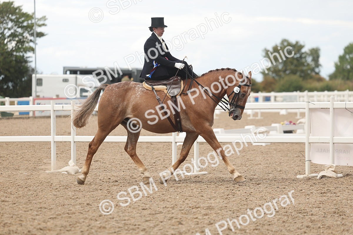 SBM_06337 - Class 24 - SSA Concours d'Elegance