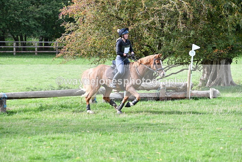 WJ5_0121 - Time 13:25 to 13:58