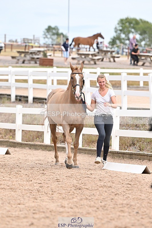 250716-153138-01977 - Trot Up 3.30 to 4.30