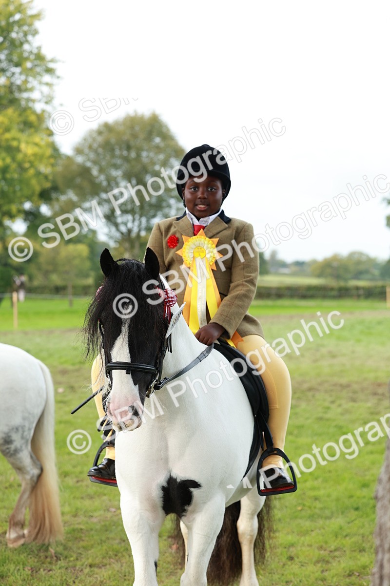 SBM_56481 - S39 - Starters In Hand Showing