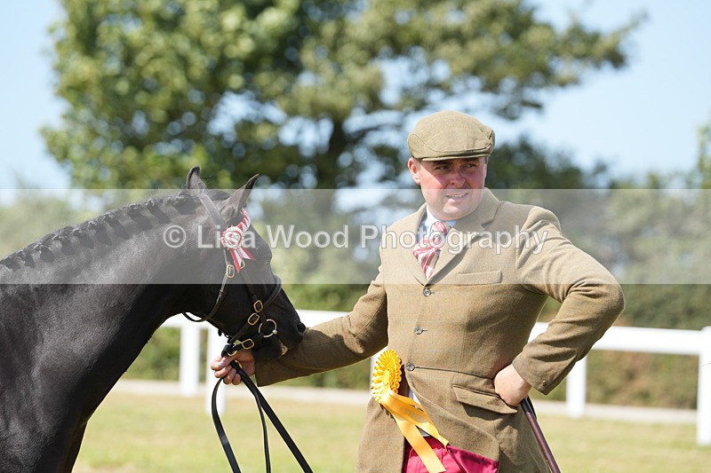 DSC07409 - Class 69: NPS Show Pony 4 years and over