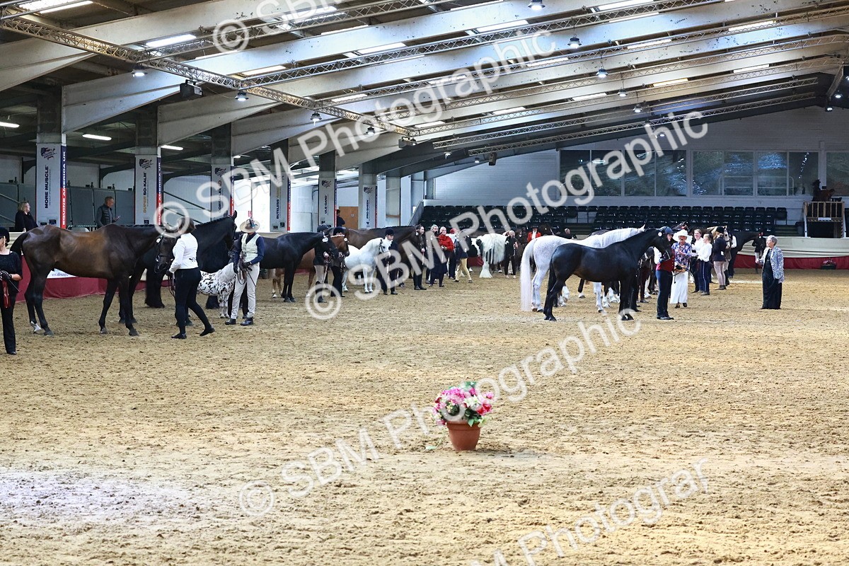 SBM_22406 - Class 902 - Supreme Final - IH Diamond