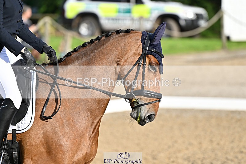 241023-143711-00347 - 102-Holly.Morris-ROYALE.LOUIS