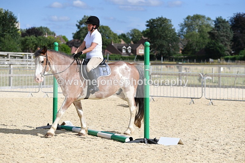 WJ5_5571 - Poles on the Floor