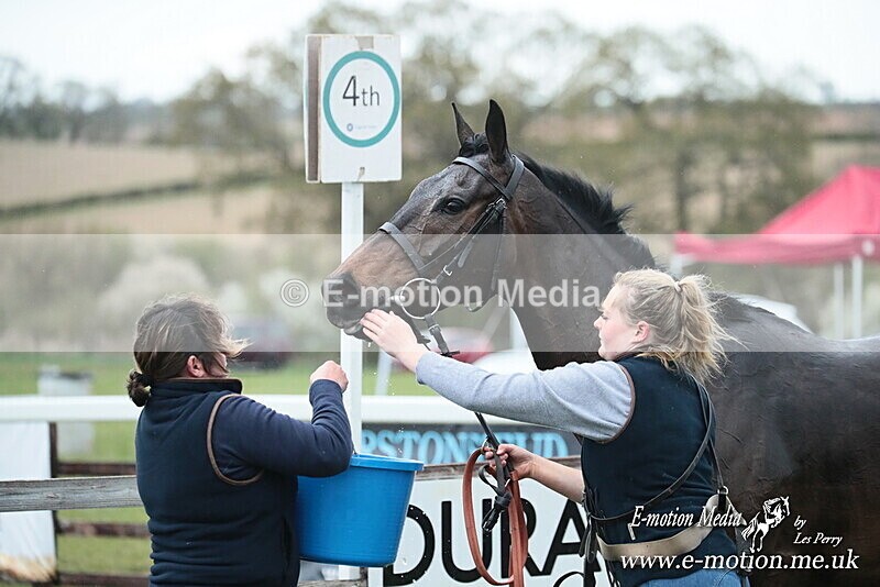 PtP 130425 434 - Edgecote Races 13/04/25