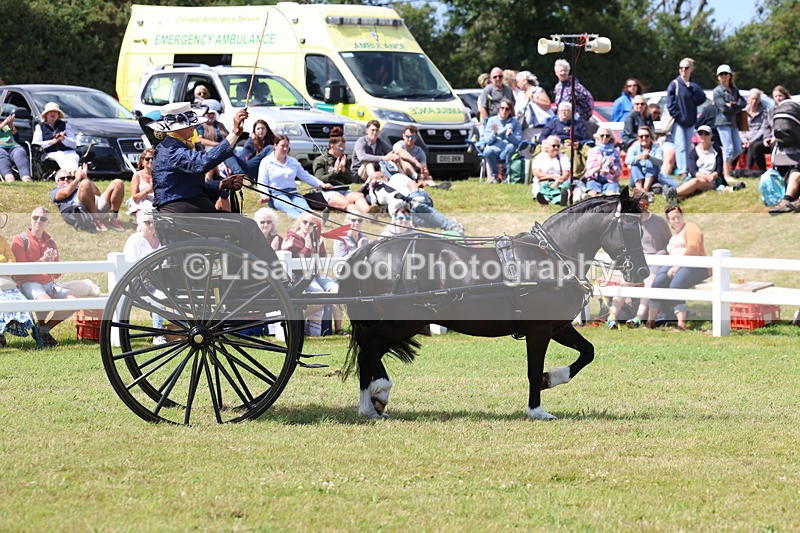 3E7A2824 - Class 12: Open Driving