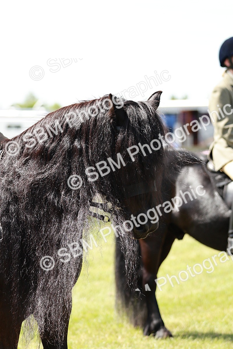SBM_07093 - Class 26-30 - Mountain and Moorland Ridden