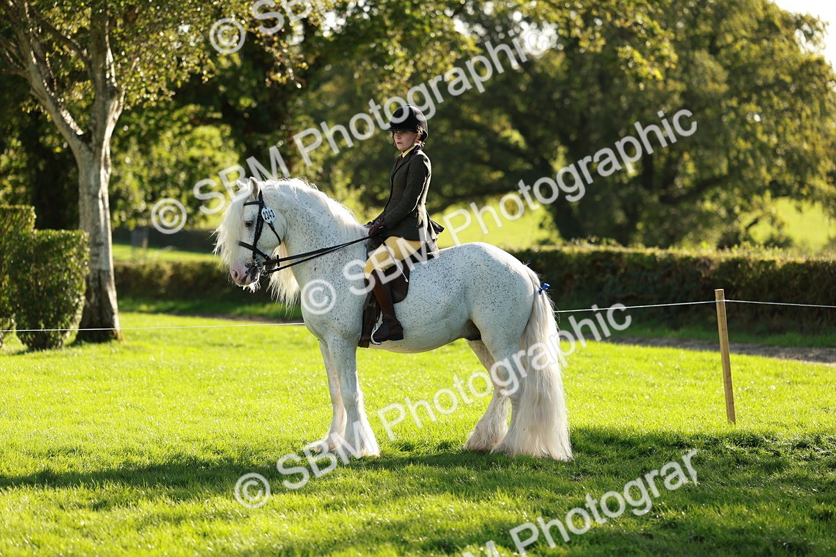 SBM_28729 - S7 - Novice & Newcomer Ridden Pony