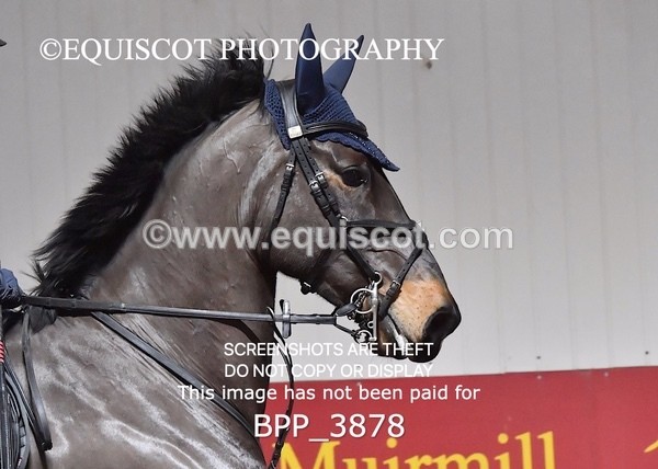 BPP_3878 - CLASS 16 Senior Newcomers/ 1.10m Open