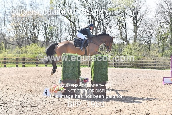 BPP_1960 - CLASS 20 SUN RHS Foxhunter Championship Qualifier