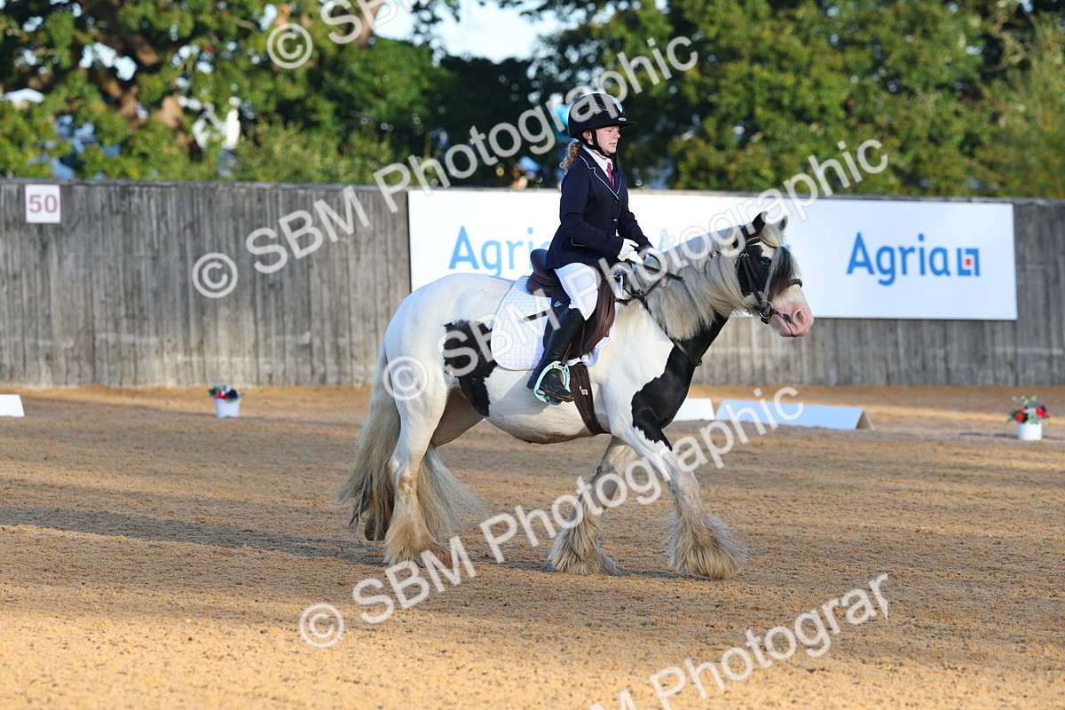 SBM_33430 - D26 - Test Starter Test 1