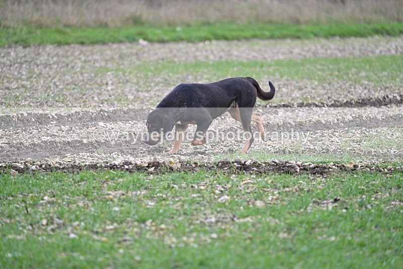 WJ7_0245 - Camera 1 & Last fence