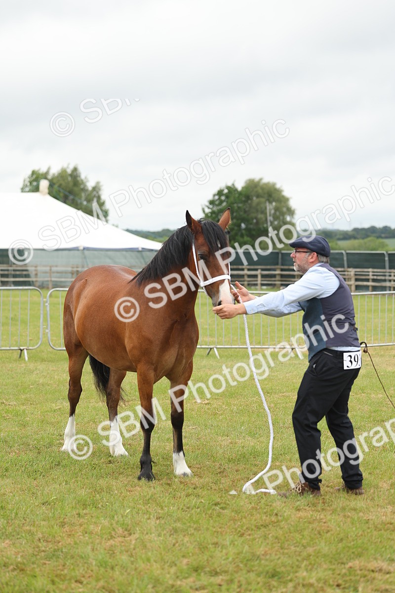 SBM_04831 - Class 50-57 - M&M Welsh Pony In Hand