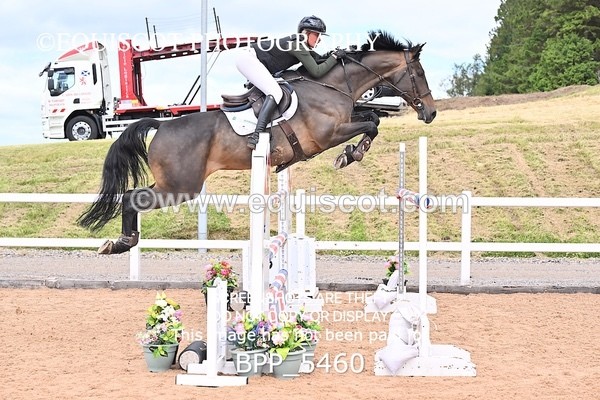 BPP_5460 - CLASS 8 THURS HOYS GFS Saddles Senior Newcomers Second Round