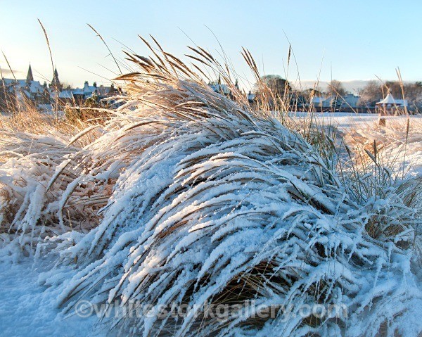 Nairn - January - Nairn, Scottish Highlands - Zero Miles