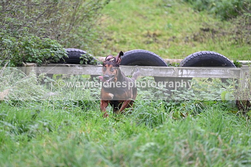 WJ7_8978 - Camera 1 only on this line