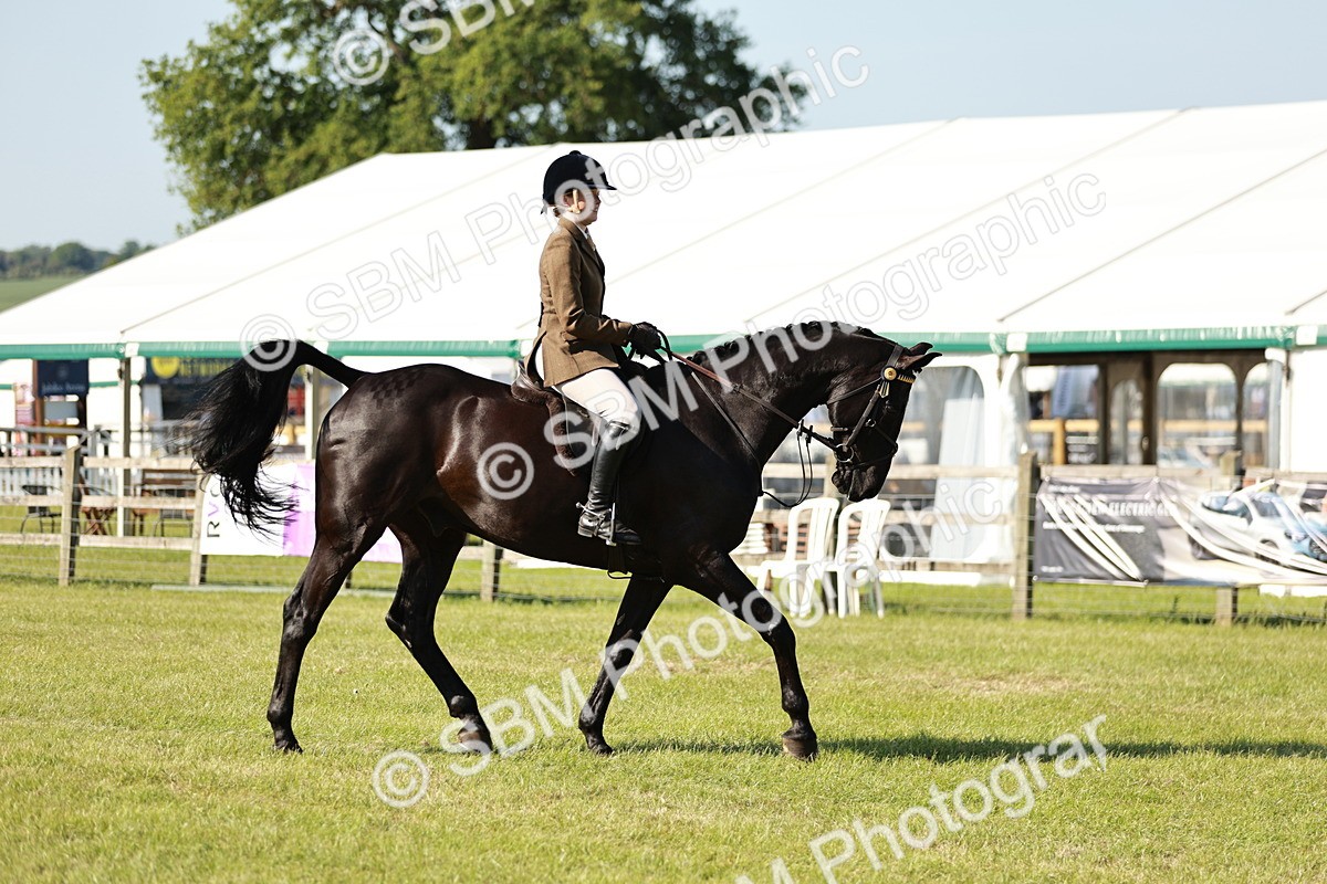 SBM_19213 - Class 115-116 - LIHS BSHA Rising Star Working Hunter & Show Horse
