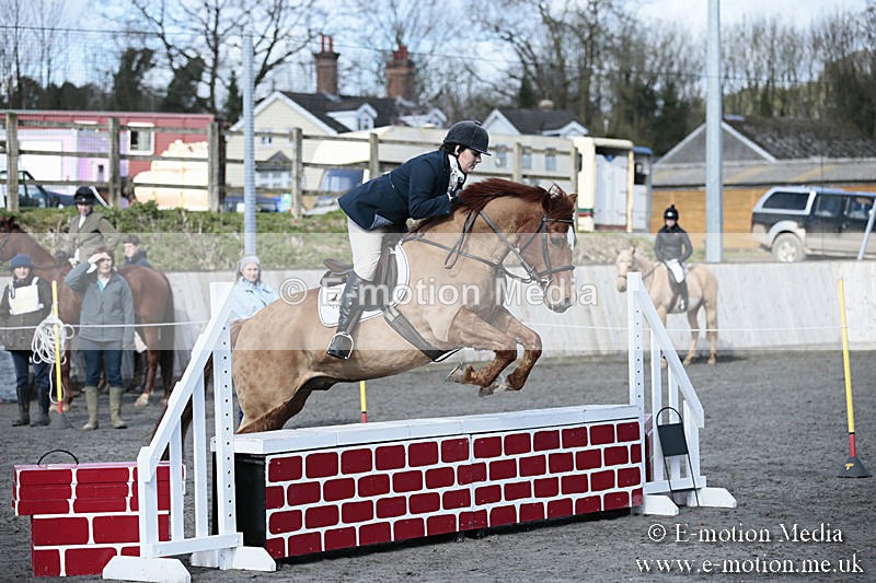 BVRC SJ 170319 212 - Bourne Valley Riding Club Showjumping 17/03/19