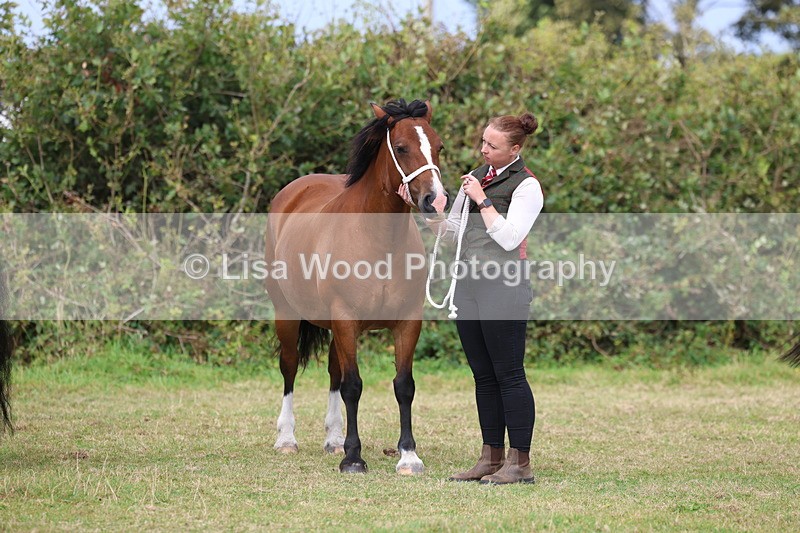 3E7A4698 - Class 16: Best Grass Kept