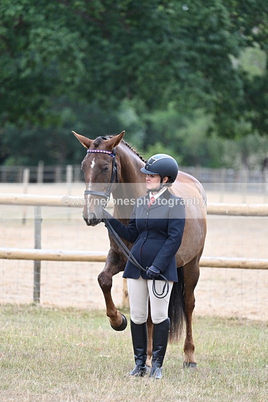 WJ7_9764 - Class 5a Most Handsome Gelding (above 14.2hh)
