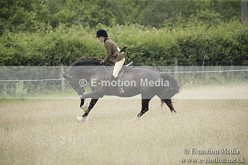 B230619-0514 - Bourne Valley Riding Club Summer Show 23/06/19
