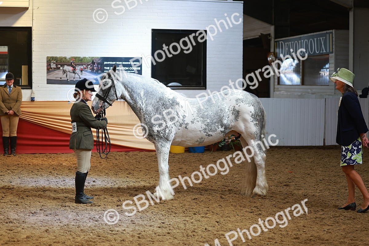 SBM_12620 - Class 103 - HOYS Veteran Qualifier - Ridden Pre Vet