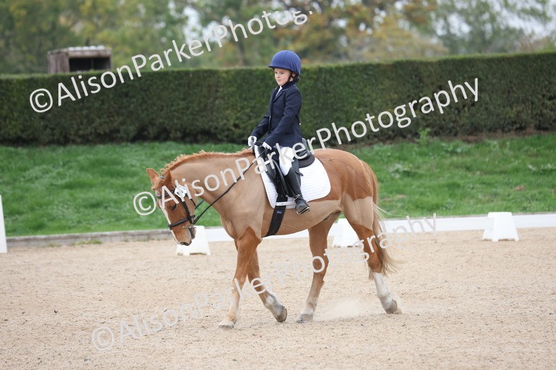 20251011-0028 - Class 1 - Intro 3