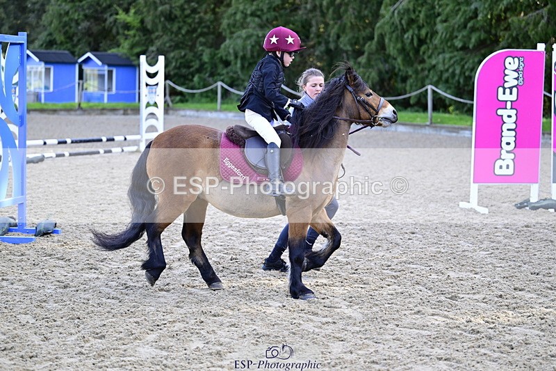 260411A-092724-00175 - 40cm Lead Rein