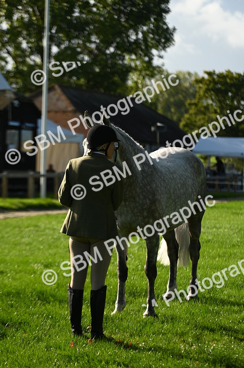 SBM_14729 - S1 - TSR in Hand Horse & Pony Showing