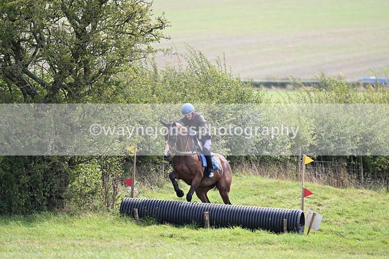 WJ6_8313 - Time 12:18 to 12:59