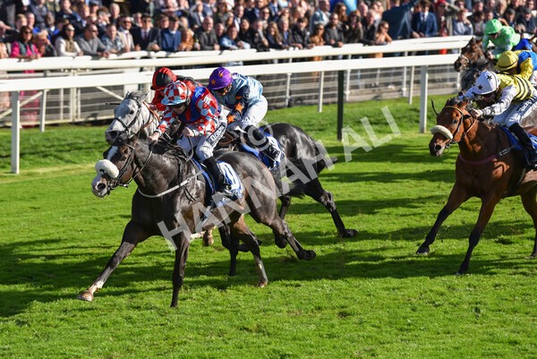 yr08102022r4-38 - Race 4 3.15pm The Coral Sprint Trophy