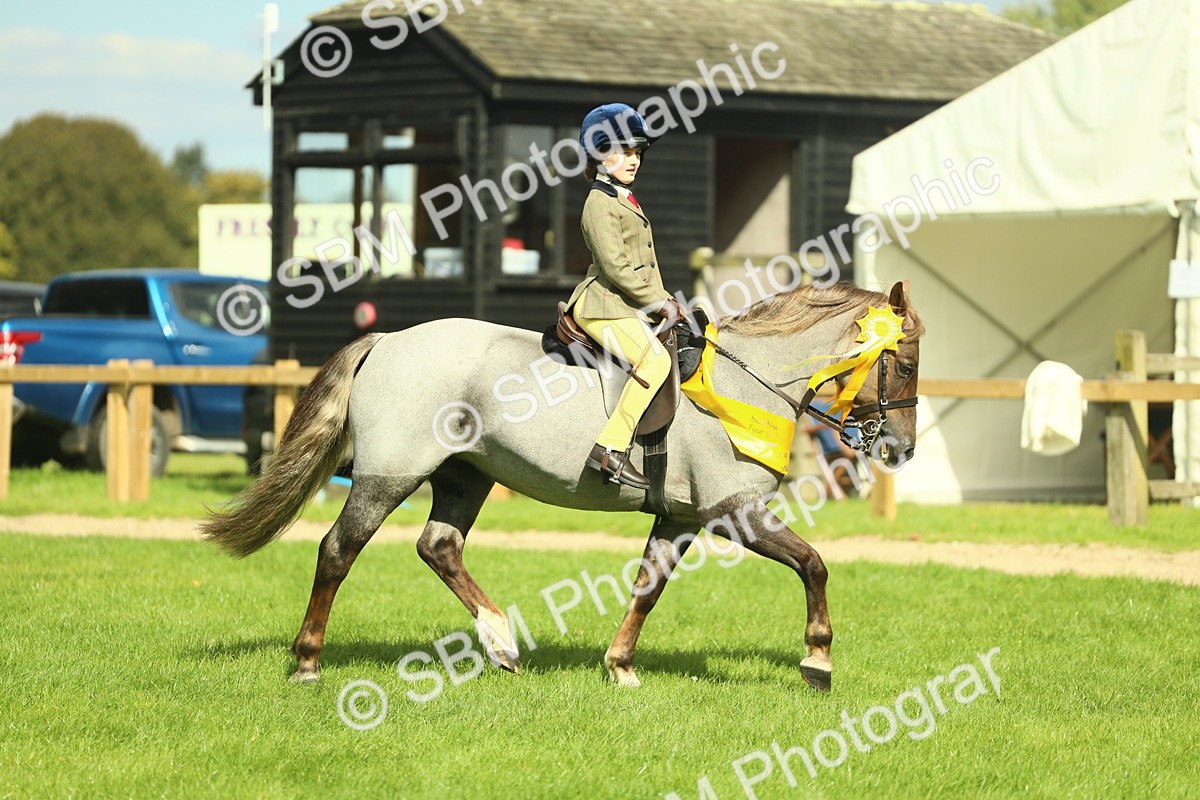 SBM_44922 - Working Hunter Pony Supreme Championship