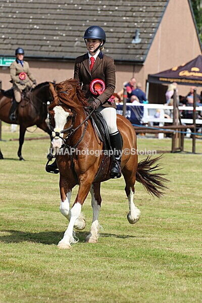 SIAL3609 - Championships