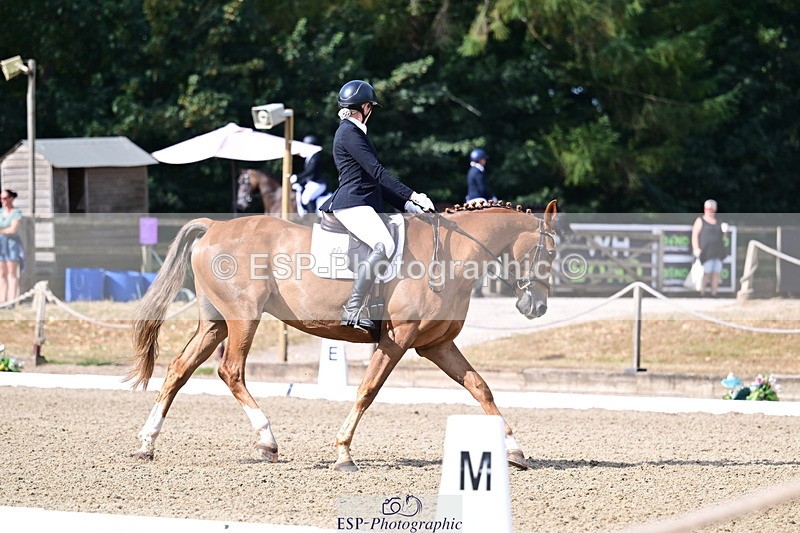 260802A-095240-05000 - Novice Bronze start - break