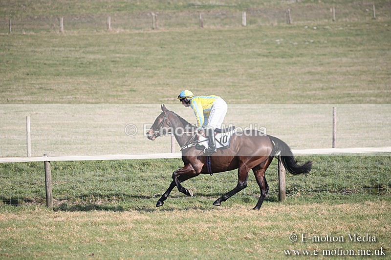 PtP 230219 159 - Vine & Craven Point-To-Point - Barbury 23/02/19