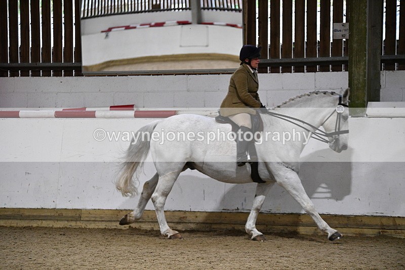 WJ5_8837 - Class 15 Ridden Show Horse