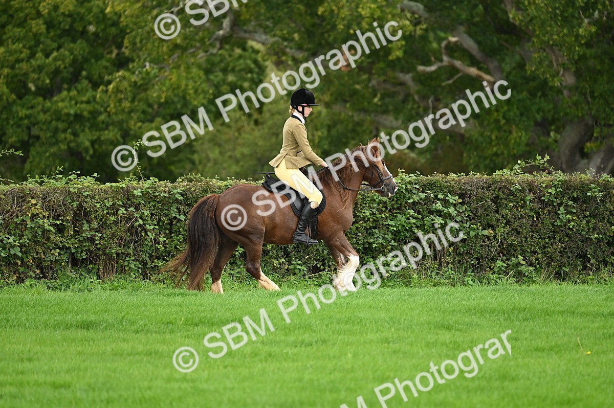 SBM_02907 - S3 - TSR Ridden Pony Showing