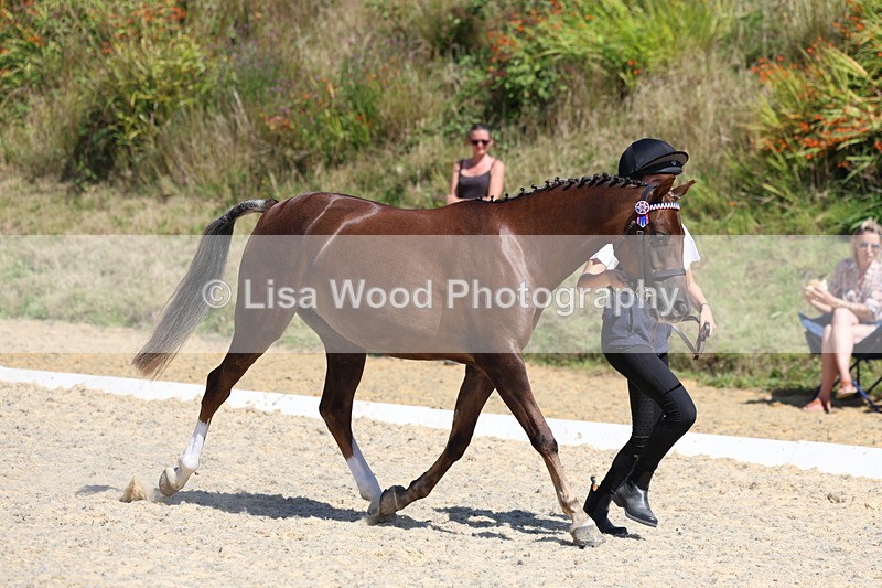 3E7A9701 - Class 32: Best Grass Kept