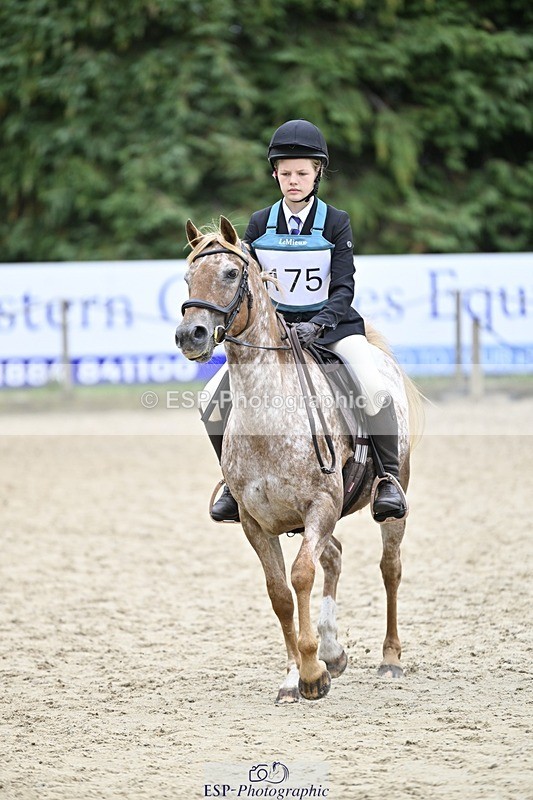 250820A-113357-03703 - Round 1, 11am to End