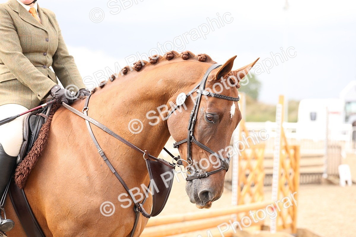 SBM_07453