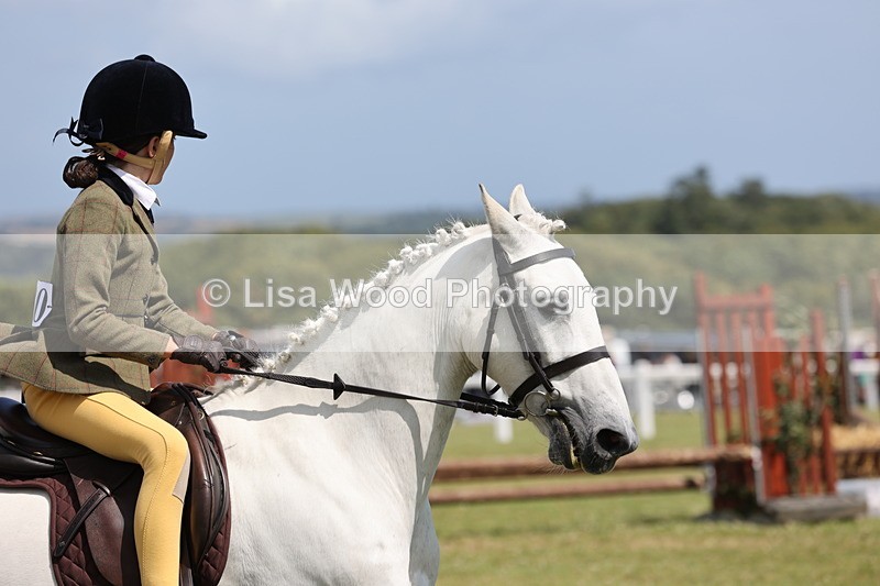 JPP_2099 - Class 19: Working Hunter 60cm