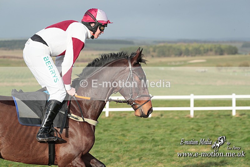 PtP 311223 496 - Larkhill Racing Club Point-to-Point 31/12/23