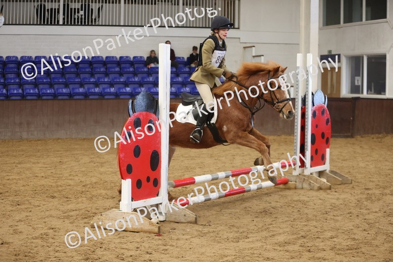 20260321-1043 - Class 3 - 50cm