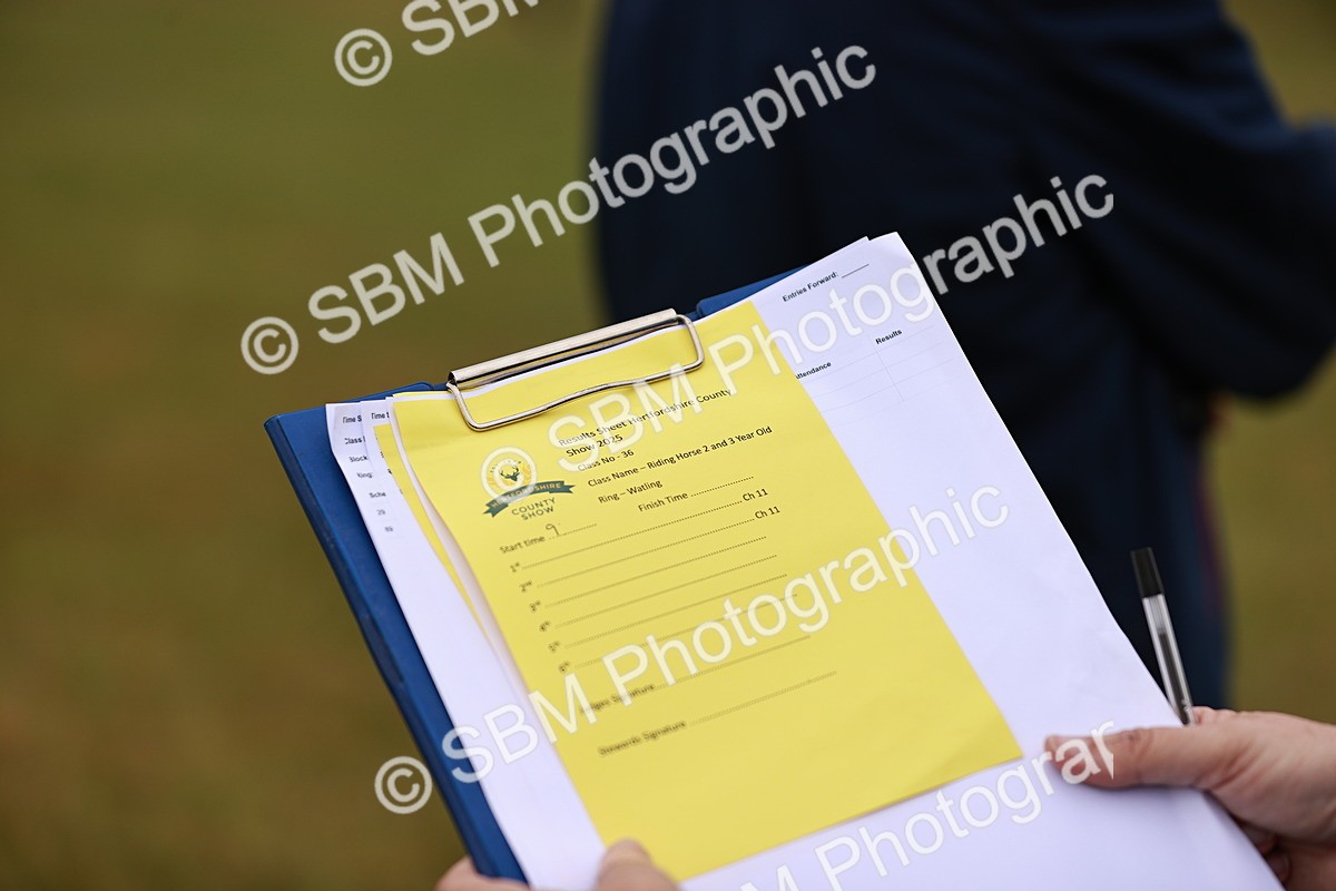 SBM_04757 - Class 35-38 Riding Horse Breeding