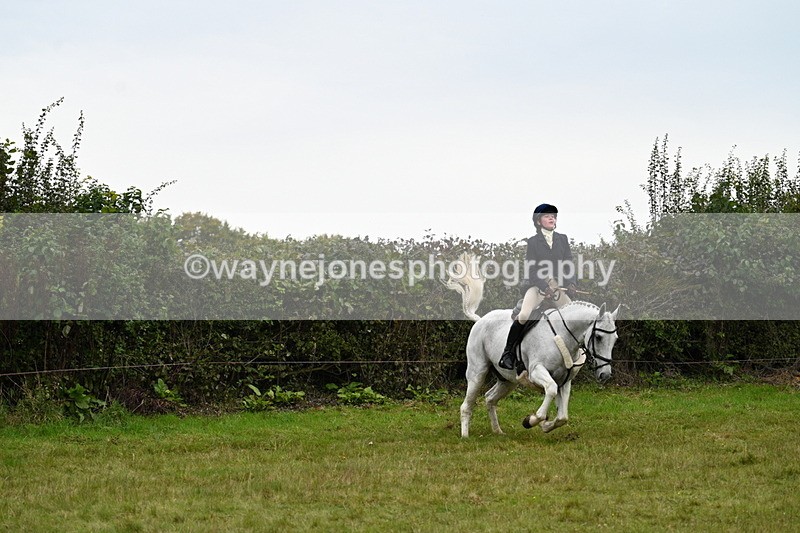 WJ7_4082 - Camera 1 Line 2