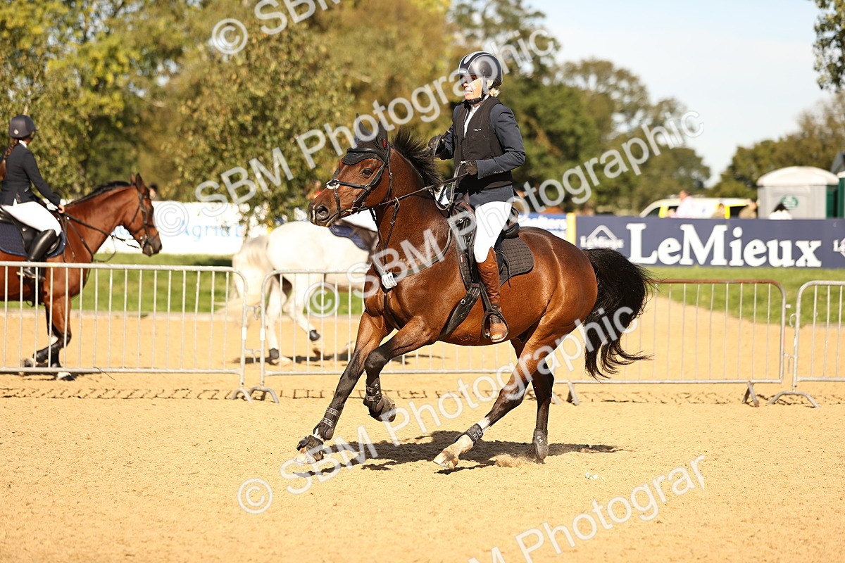 SBM_38062 - J39 - Senior 85cm Championship