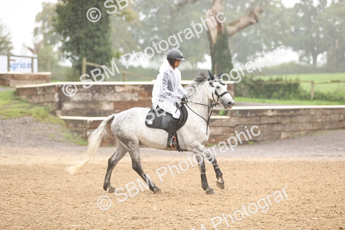 SBM_73517 - J19 - Junior Horse & Pony 90cm Supreme championship