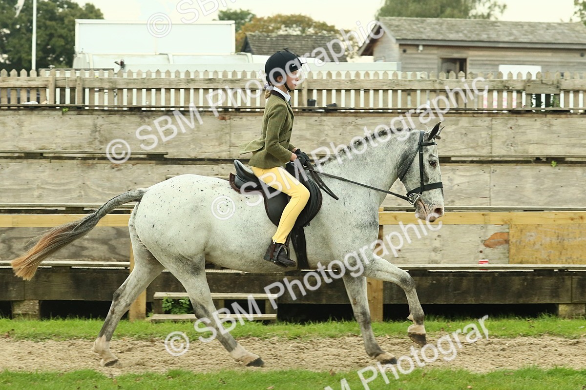 SBM_74073 - S 61 - Show Pony & Show Hunter Pony Ridden
