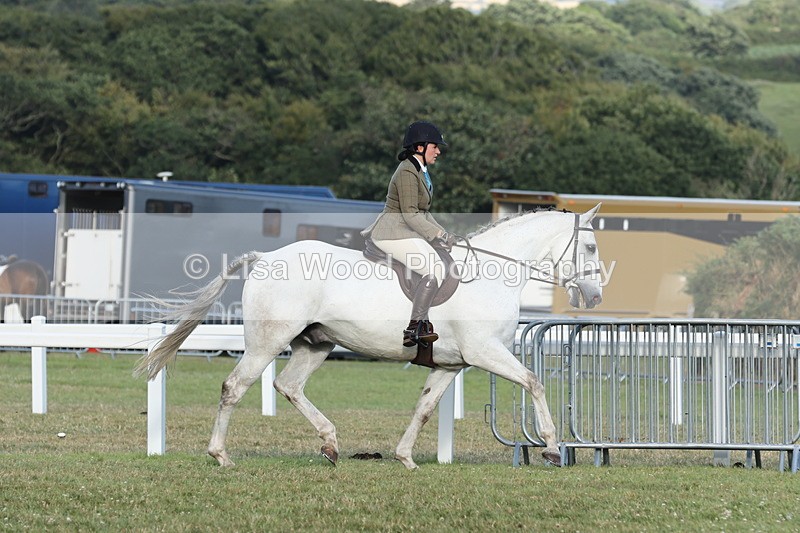 JPP_3517 - Class 22: Working Hunter 90cm